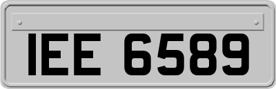 IEE6589