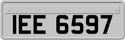 IEE6597