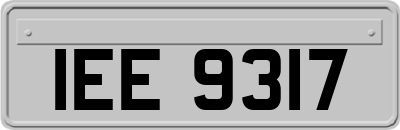 IEE9317