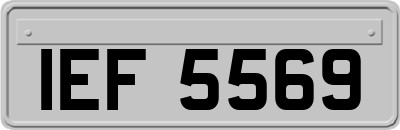 IEF5569