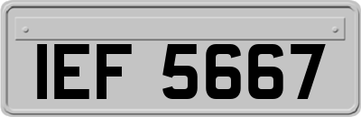 IEF5667