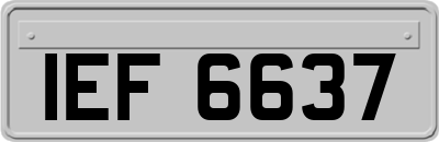 IEF6637
