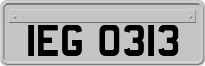 IEG0313