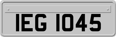 IEG1045