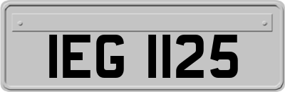 IEG1125
