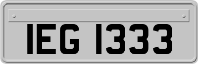 IEG1333