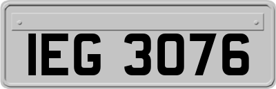 IEG3076