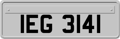 IEG3141