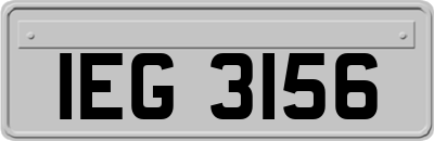 IEG3156