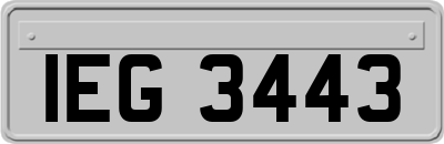 IEG3443