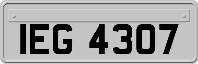 IEG4307