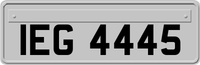 IEG4445