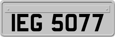 IEG5077