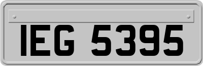 IEG5395