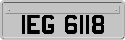 IEG6118
