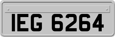 IEG6264