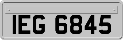 IEG6845