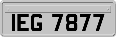 IEG7877
