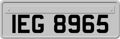 IEG8965