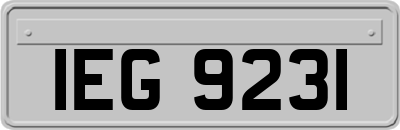 IEG9231