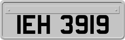 IEH3919