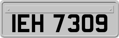 IEH7309