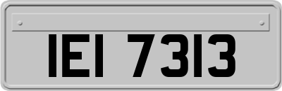 IEI7313