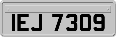 IEJ7309