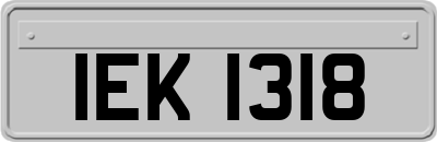 IEK1318