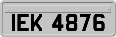 IEK4876