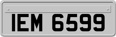 IEM6599