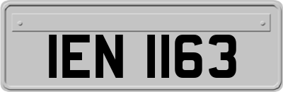 IEN1163