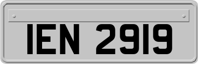 IEN2919