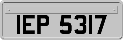 IEP5317