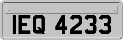 IEQ4233