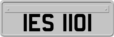 IES1101
