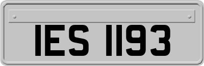 IES1193