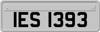 IES1393