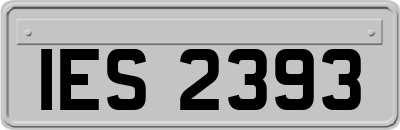 IES2393
