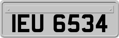 IEU6534
