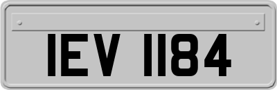 IEV1184