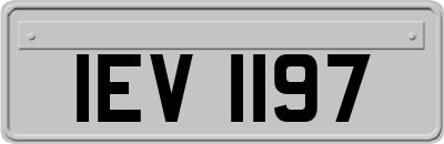 IEV1197