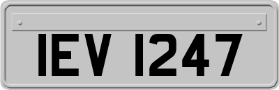 IEV1247