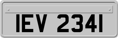 IEV2341