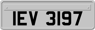 IEV3197