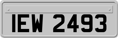 IEW2493