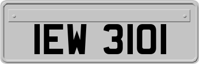 IEW3101