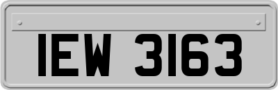 IEW3163