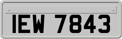 IEW7843