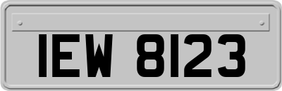 IEW8123